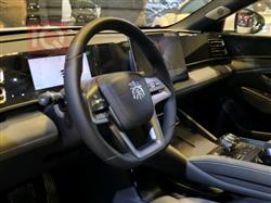 بي واي دي كوين L DM-i